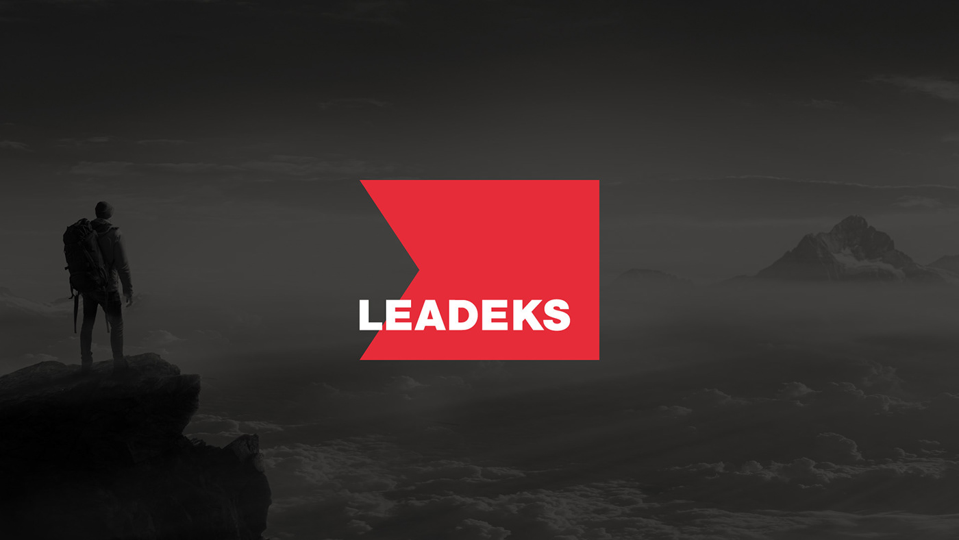 Leadeks设备销售公司品牌形象设计