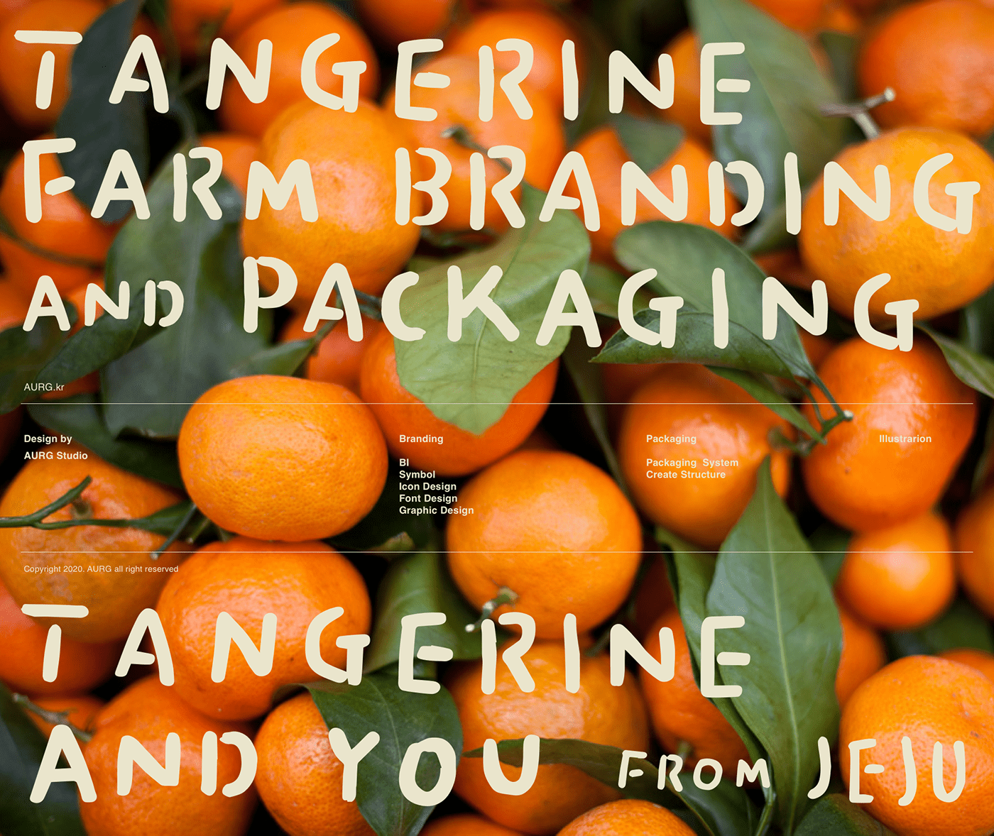 橘子和你 | 品牌标识和包装——手写体可爱风格设计分享